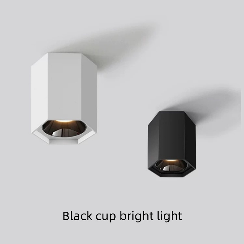 Outdoor Lighting For Store - Spot LED sem Furo para Sala