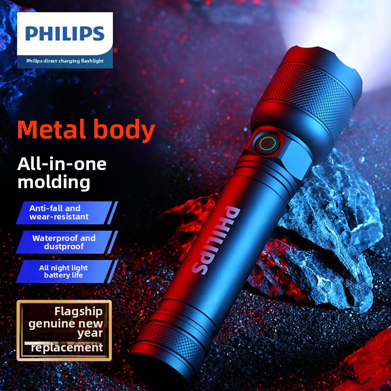 Outdoor Lighting Setup - 2025 NOVA Philips SFL2188 LED Lanterna