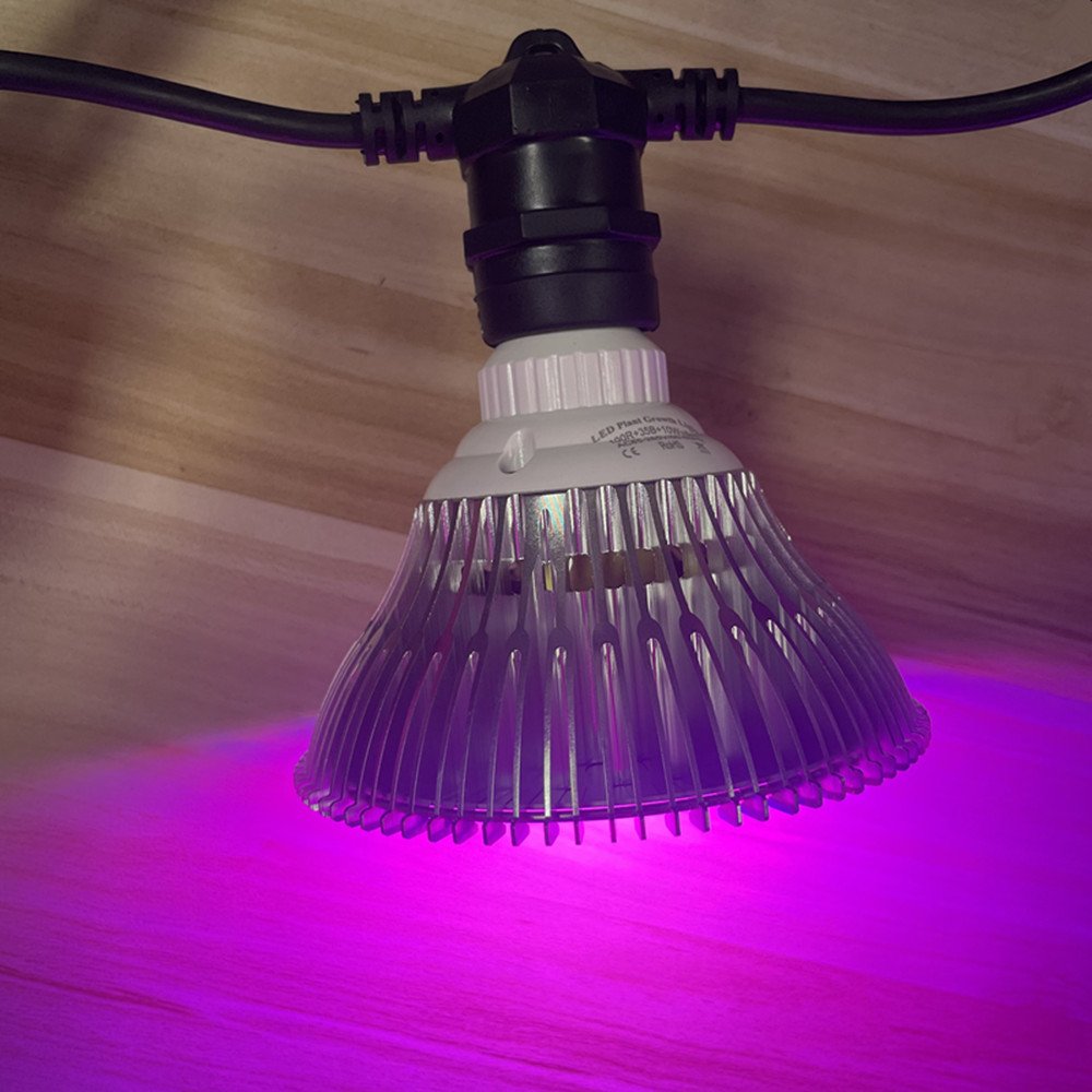 Cabo de LED de 10M à prova d'á - Bollard Light Garden avaliação e preço