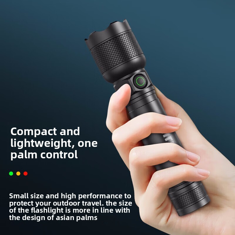 2025 NOVA Philips SFL2188 LED  - Outdoor Lighting Setup avaliação e preço